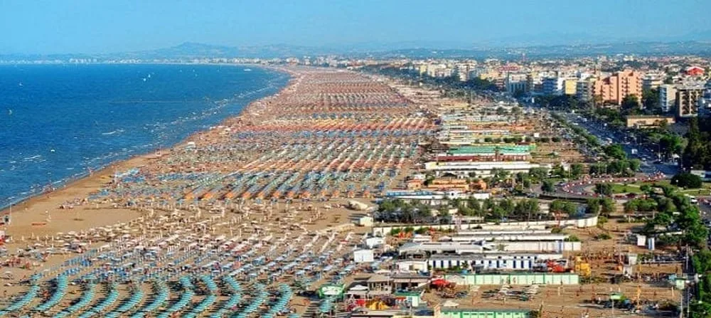 Immagine 4